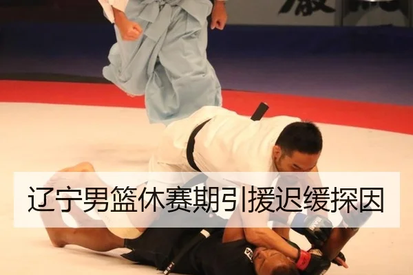 辽宁男篮休赛期引援迟缓探因
